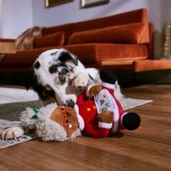 Frisco Holiday Mrs. Claus Plush Squeaky Dog Toy 7 Frisco Holiday Mrs. Claus Plush Squeaky Dog Toy -WoofyPlay Store 360917 PT3. AC SS1800 V1661874360