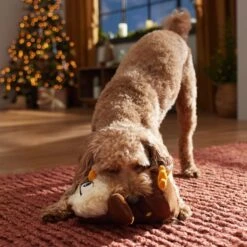 Frisco Holiday Festive Owl Plush Squeaky Dog Toy 6 Frisco Holiday Festive Owl Plush Squeaky Dog Toy -WoofyPlay Store 360919 PT3. AC SS1800 V1661874361