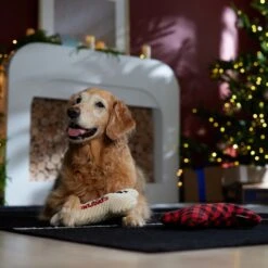 Frisco Holiday "Happy Pawlidays" Bone Plush Squeaky Dog Toy, Medium, 2 Count -WoofyPlay Store 360942 PT3. AC SS1800 V1661874360