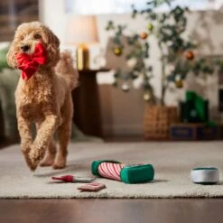 Frisco Holiday Gift Wrapping Set Plush Squeaky Dog Toy -WoofyPlay Store 360968 PT3. AC SS1800 V1661874420