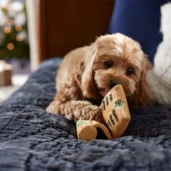 Frisco Holiday Santa's List Plush & TPR Inside Dog Toy -WoofyPlay Store 360970 PT3. AC SS1800 V1661874421