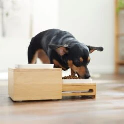 Frisco Elevated Non-Skid Bamboo Melamine Bowl Double Diner With Bamboo Stand -WoofyPlay Store 363385 PT5. AC SS1800 V1657657267