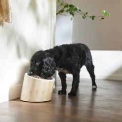 Frisco Elevated Slanted Bamboo Melamine Non-Skid Dog Bowl With Bamboo Stand -WoofyPlay Store 363387 PT2. AC SS1800 V1657657267