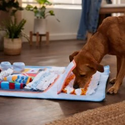 Frisco Vending Machine Snuffle Mat, Blue, Large -WoofyPlay Store 363397 PT2. AC SS1800 V1660750518