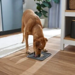 Frisco Non-skid Square Silicone Dog & Cat Lick Mat 8 Frisco Non-skid Square Silicone Dog & Cat Lick Mat -WoofyPlay Store 363402 PT2. AC SS1800 V1668118082