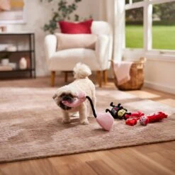 Frisco Valentine Rope, TPR & Plush Variety Pack Dog Toy -WoofyPlay Store 371077 PT3. AC SS1800 V1668737456