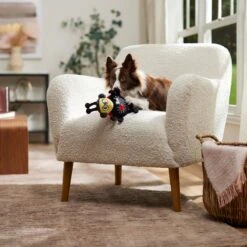 Frisco Valentine Jammin' Ladybug Plush Squeaky Dog Toy 8 Frisco Valentine Jammin' Ladybug Plush Squeaky Dog Toy -WoofyPlay Store 371083 PT3. AC SS1800 V1668737455