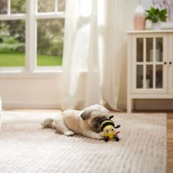 Frisco Valentine Love Buzz Bee Plush Squeaky Dog Toy -WoofyPlay Store 371085 PT3. AC SS1800 V1668737458