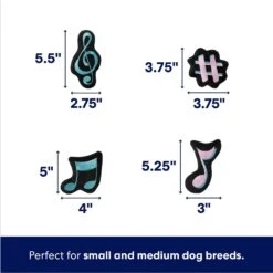 Frisco Valentine Love Song Record Player Hide & Seek Puzzle Plush Squeaky Dog Toy -WoofyPlay Store 371087 PT2. AC SS1800 V1701364927