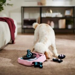 Frisco Valentine Love Song Record Player Hide & Seek Puzzle Plush Squeaky Dog Toy -WoofyPlay Store 371087 PT3. AC SS1800 V1668737233