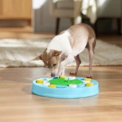 Frisco Seek & Discover Interactive Puzzle Dog Toy, Moderate -WoofyPlay Store 506250 PT5. AC SS1800 V1674664929