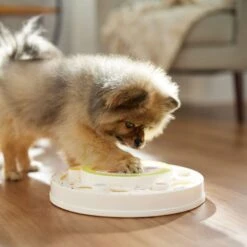 Frisco Tiered Cake Interactive Puzzle Dog Toy, Easy -WoofyPlay Store 506346 PT5. AC SS1800 V1674666566