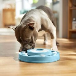 Frisco Two Tier Interactive Puzzle Dog Toy, Easy -WoofyPlay Store 506370 PT5. AC SS1800 V1674671566