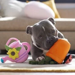 Frisco Spring Potted Plant And Watering Can Plush Squeaky Dog Toy -WoofyPlay Store 541494 PT4. AC SS1800 V1702500565