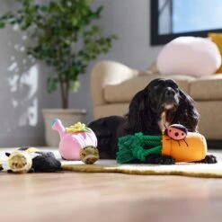 Frisco Spring Plush & Rope Variety Pack Squeaky Dog Toy -WoofyPlay Store 541526 PT4. AC SS1800 V1702500565