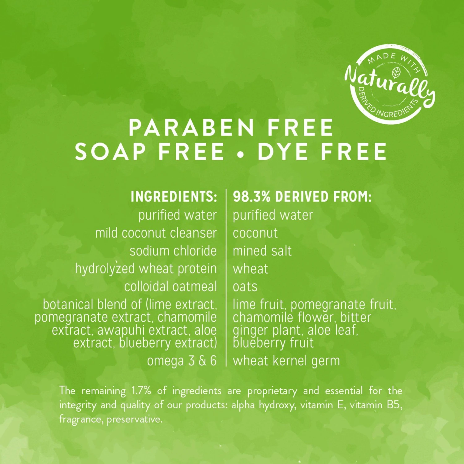 TropiClean Lime & Coconut Deshedding Dog Shampoo & Frisco Shedding Rake Dog & Cat Brush 4 TropiClean Lime & Coconut Deshedding Dog Shampoo & Frisco Shedding Rake Dog & Cat Brush - Image 4