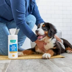 FURminator Long Hair Dog Deshedding Tool & Frisco Shed Reducing Waterless Grooming Wipes For Dogs & Cats, 50 Count -WoofyPlay Store 575134 PT6. AC SS1800 V1657660396