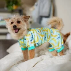Frisco Go Bananas Dog & Cat Jersey PJs 10 Frisco Go Bananas Dog & Cat Jersey PJs -WoofyPlay Store 608998 PT6. AC SS1800 V1676642341