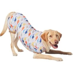 Frisco Dinosaur Dog & Cat Jersey PJs -WoofyPlay Store 609062 PT4. AC SS1800 V1681488688