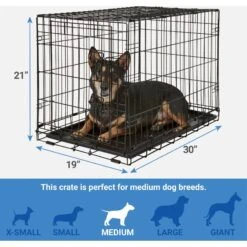 Frisco Fold & Carry Single Door Collapsible Wire Dog Crate + 4 Items -WoofyPlay Store 623718 PT2. AC SS1800 V1662739258