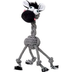 Frisco Fold & Carry Single Door Collapsible Wire Dog Crate + 4 Items -WoofyPlay Store 623718 PT7. AC SS1800 V1662734896