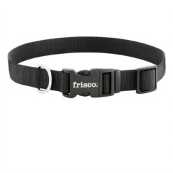 Frisco Solid Nylon Dog Leash + 4 Items 14 Frisco Solid Nylon Dog Leash + 4 Items -WoofyPlay Store 623766 PT5. AC SS1800 V1662735841