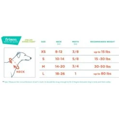 Frisco Solid Nylon Dog Leash + 4 Items 15 Frisco Solid Nylon Dog Leash + 4 Items -WoofyPlay Store 623766 PT6. AC SS1800 V1662739135