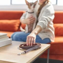 Frisco Top Grain Leather Leash + 4 Items -WoofyPlay Store 630958 PT4. AC SS1800 V1662742186