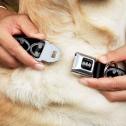 Frisco Bat Wings Dog & Cat Costume & Buckle-Down Batman Shield Polyester Dog Collar 15 Frisco Bat Wings Dog & Cat Costume & Buckle-Down Batman Shield Polyester Dog Collar -WoofyPlay Store 638566 PT6. AC SS1800 V1663254111