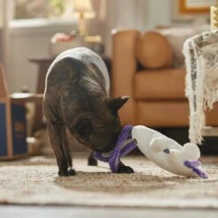 Frisco Halloween Bunny Ghost Plush Squeaky Dog Toy -WoofyPlay Store 667878 PT3. AC SS1800 V1689340856