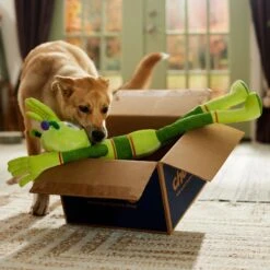 Frisco Halloween Alien Wagazoo Plush Squeaky Dog Toy, Extra Long 8 Frisco Halloween Alien Wagazoo Plush Squeaky Dog Toy, Extra Long -WoofyPlay Store 668134 PT3. AC SS1800 V1689282428