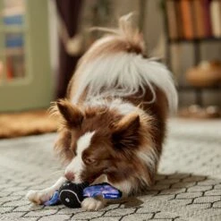 Frisco Halloween Bat Fetch Squeaky Tennis Ball Dog Toy -WoofyPlay Store 668278 PT3. AC SS1800 V1689350166