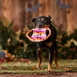 Frisco Halloween Ghost Swirl Fetch Flyer Dog Toy -WoofyPlay Store 668294 PT3. AC SS1800 V1689278363