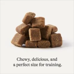 Frisco Giant Charcoal Dog Training & Potty Pads & American Journey Beef Recipe Grain-Free Soft & Chewy Training Bits Dog Treats -WoofyPlay Store 678566 PT7. AC SS1800 V1681825758