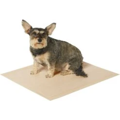 Frisco Large Eco-Conscious Dog Training & Potty Pads & American Journey Peanut Butter Recipe Grain-Free Oven Baked Crunchy Biscuit Dog Treats -WoofyPlay Store 678574 PT3. AC SS1800 V1667863365