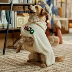 Frisco Boo-Tastic Ghost Dog & Cat Costume Cape -WoofyPlay Store 706726 PT7. AC SS1800 V1689282554