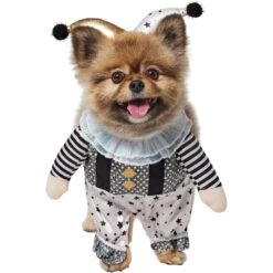 Frisco Front Walking Glitter Clown Dog & Cat Costume -WoofyPlay Store 707542 PT2. AC SS1800 V1689351699