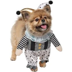 Frisco Front Walking Glitter Clown Dog & Cat Costume -WoofyPlay Store 707542 PT3. AC SS1800 V1689278296