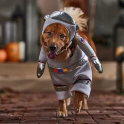 Frisco Front Walking LED Astronaut Dog & Cat Costume 14 Frisco Front Walking LED Astronaut Dog & Cat Costume -WoofyPlay Store 707630 PT7. AC SS1800 V1689278700