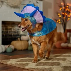 Frisco Dinosaur Dog & Cat Costume -WoofyPlay Store 707894 PT7. AC SS1800 V1689350593
