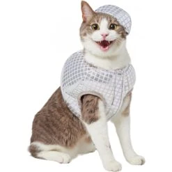 Frisco Disco Ball Dog & Cat Costume -WoofyPlay Store 707934 PT2. AC SS1800 V1689283755