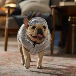Frisco Disco Ball Dog & Cat Costume -WoofyPlay Store 707934 PT7. AC SS1800 V1689271312
