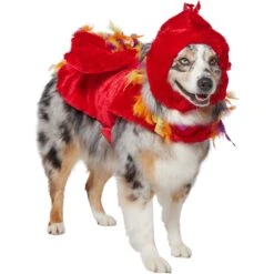 Frisco Flying Phoenix Dog & Cat Costume -WoofyPlay Store 708150 PT3. AC SS1800 V1691084928