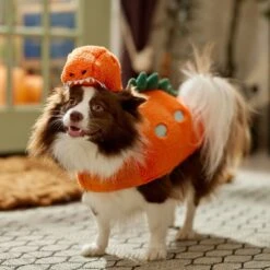 Frisco Furry Dinosaur Dog & Cat Costume -WoofyPlay Store 708190 PT7. AC SS1800 V1689278373