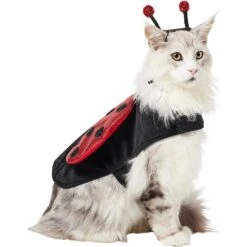 Frisco Glittered Ladybug Dog & Cat Costume -WoofyPlay Store 708254 PT2. AC SS1800 V1689350599