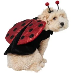Frisco Glittered Ladybug Dog & Cat Costume -WoofyPlay Store 708254 PT3. AC SS1800 V1689350986