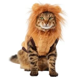 Frisco Lion Love Dog & Cat Costume -WoofyPlay Store 708318 PT2. AC SS1800 V1689341486