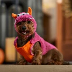 Frisco Zany Monster Dog & Cat Costume -WoofyPlay Store 708710 PT7. AC SS1800 V1689282434