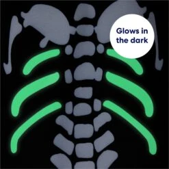 Frisco Glow In The Dark Skeleton Dog & Cat Costume -WoofyPlay Store 709038 PT5. AC SS1800 V1689340910