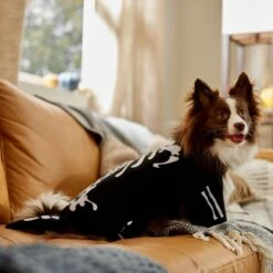 Frisco Glow In The Dark Skeleton Dog & Cat Costume -WoofyPlay Store 709038 PT7. AC SS1800 V1689350988